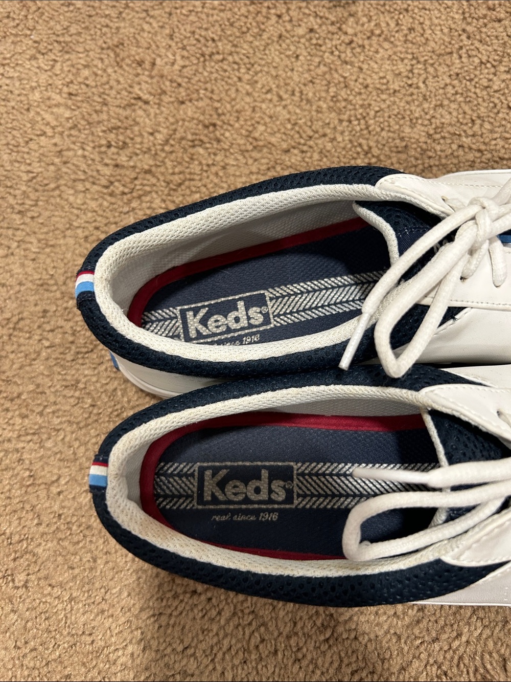 Keds White Sneakers with Navy Heel and Red-Blue Tongue Trim - Picture 2 of 7